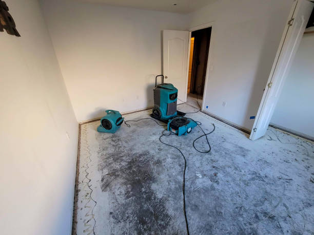 Best Sewage cleanup and water damage restoration  in Hazen, ND