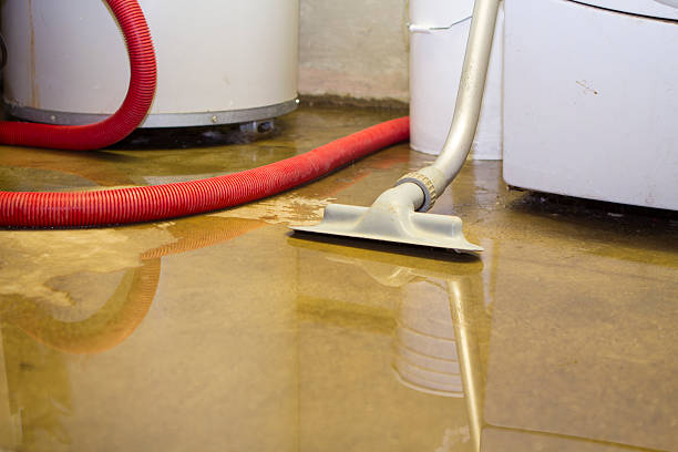 Best Water damage restoration near me  in Hazen, ND