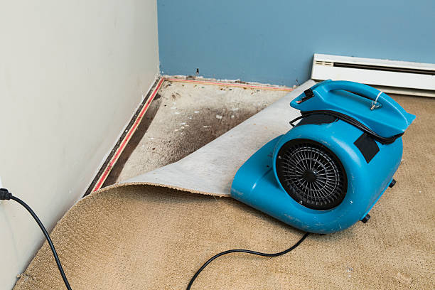 Best Emergency water damage restoration  in Hazen, ND